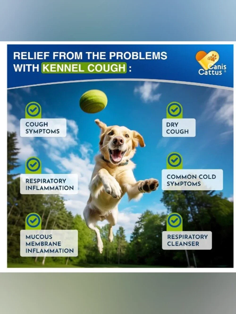 Kennel Cough 🐶 Dog & 😺 Cat Cough Syrup